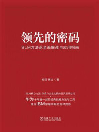 《领先的密码：BLM方法论全面解读与应用指南》-柏翔