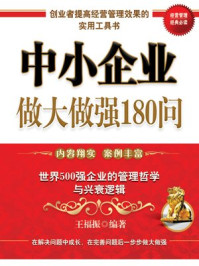 《中小企业做大做强180问》-王福振