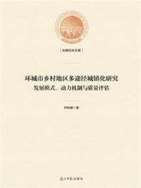 《环城市乡村地区多途径城镇化研究：发展模式、动力机制与质量评估》-钟栎娜