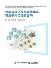 《储能规模化发展政策体系、商业模式与综合影响》-吴微