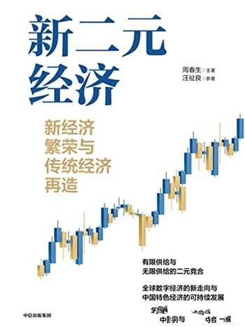 《新二元经济：新经济繁荣与传统经济再造》周春生著作