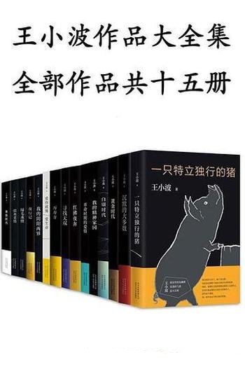《王小波作品大全集》套装共15册/他自由理性、特立独行