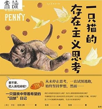 《一只猫的存在主义思考》/一只猫丧中带着希望漫画日记