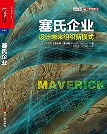 《塞氏企业》里卡多·塞姆勒/教你来设计未来组织新模式