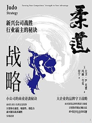 《柔道战略》大卫·尤费/乃新兴公司战胜行业霸主的秘诀