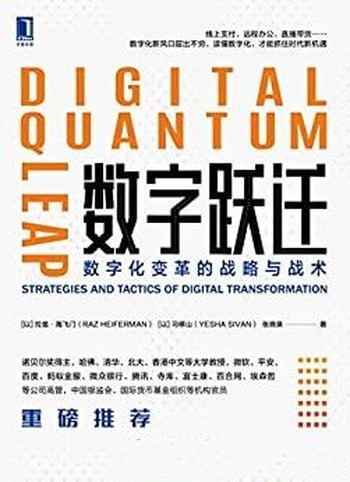 《数字跃迁》拉兹·海飞门/介绍数字化变革的战略与战术