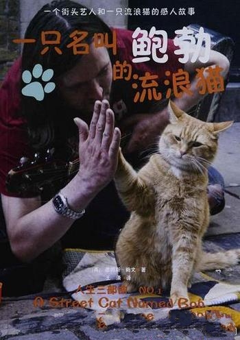 《一只名叫鲍勃的流浪猫》詹姆斯·鲍文/感人至深的故事