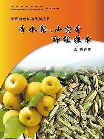 《香水梨、小茴香种植技术》潘建国/农业技术越来越重视