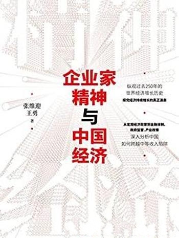 《企业家精神与中国经济》张维迎/经济持续增长真正源泉