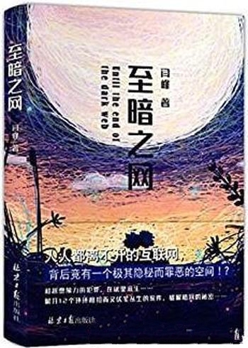 《至暗之网》闫峰/不能做到随时把所有Tor的用户去匿名化