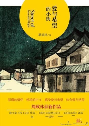 《爱与希望的小街》周成林/本书是作者最新自传体散文集