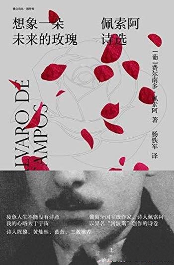 《想象一朵未来的玫瑰：佩索阿诗选》/2019年度十大好书
