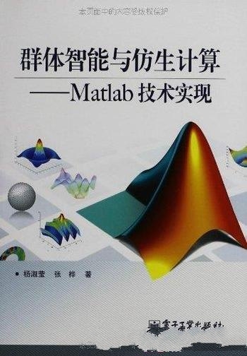 《群体智能与仿生计算:Matlab技术实现》杨淑莹/智能计算