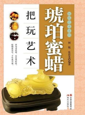 《琥珀蜜蜡把玩艺术》何悦/收藏文化和深厚的历史底蕴