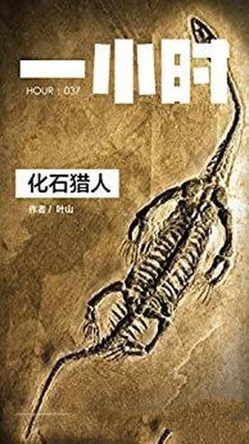 《化石猎人》叶山/知乎叶山作品 (知乎「一小时」系列