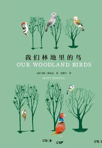 《我们林地里的鸟》马特休厄尔/大人小孩绝佳亲子读物