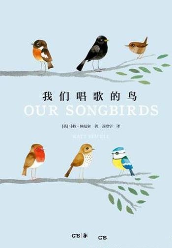《我们唱歌的鸟》马特·休厄尔/描绘了52种唱歌的鸟