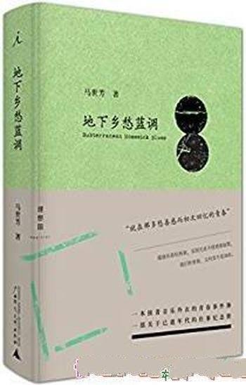 《地下乡愁蓝调》/摇滚乐看似热闹实则浸透着寂寞