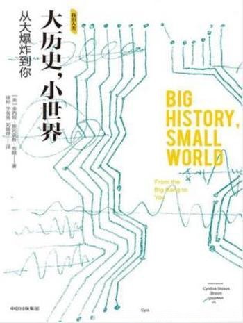 斯托克斯·布朗《大历史,小世界:从大爆炸到你》
