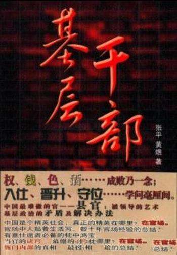 《基层干部》张平/农民子弟李博娶了一位市长千金