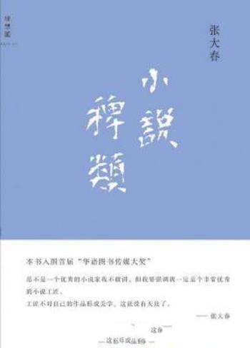 《小说稗类》张大春/引起小说界和学界的瞩目