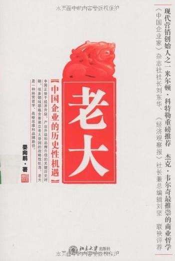 《老大——中国企业的历史性机遇》