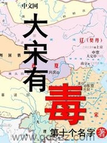 《大宋有毒》（校对版全本）作者：第十个名字