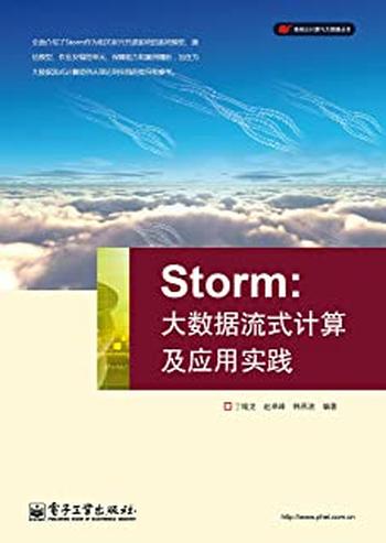 《Storm：大数据流式计算及应用实践》