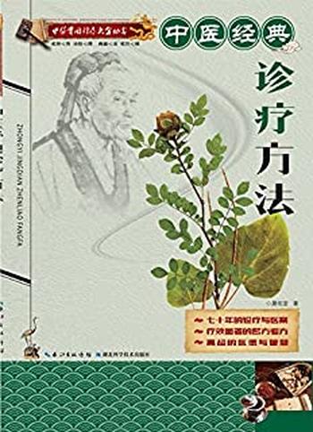 《中医实用诊疗大全丛书：中医经典诊疗方法》