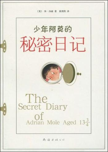 《少年阿莫的秘密日记》