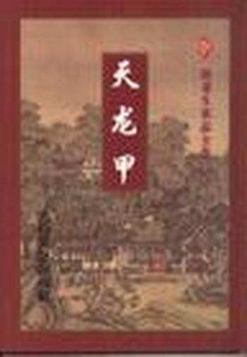 《天龙甲（上.下）》