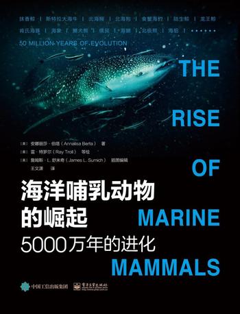 《海洋哺乳动物的崛起》5000万年的进化