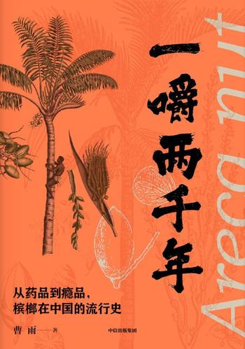 《一嚼两千年》从药品到瘾品，槟榔在中国的流行史