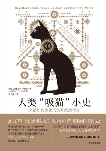 《人类“吸猫”小史》家猫如何驯化人类并统治世界