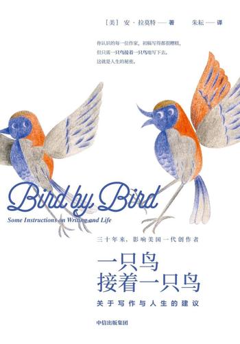 《一只鸟接着一只鸟》关于写作与人生的建议