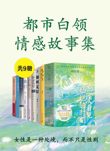 《女性是一种处境,而不只是性别：都市白领情感故事集(共9册)》