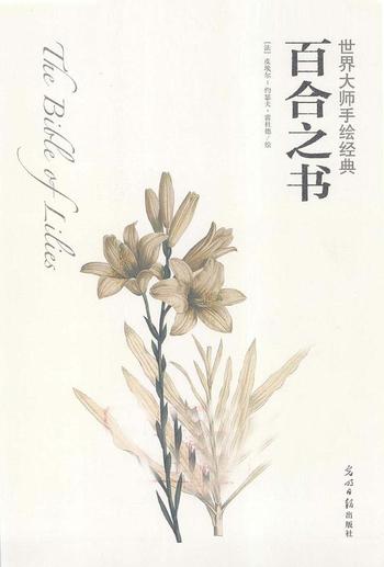 《世界大师手绘经典_百合之书》