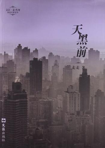 《天黑前 : —文汇.麦杰珂新锐作家系列》