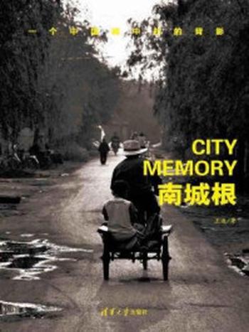 《南城根：一个中国城中村的背影》-王选
