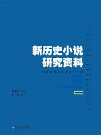 《新历史小说研究资料》-白亮