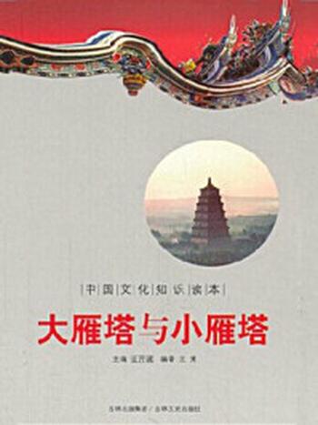 《中国文化知识读本：大雁塔与小雁塔》-金开成
