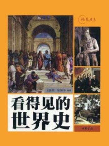 《看得见的世界史：视觉历史》-王新明