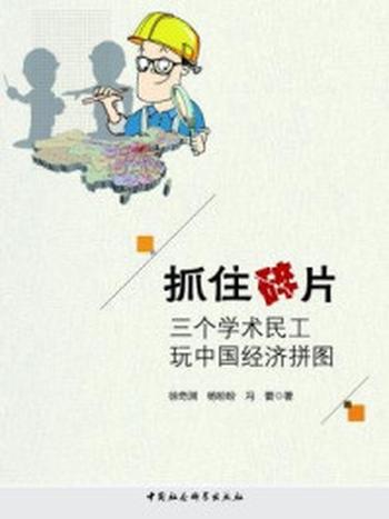 《抓住碎片：三个学术民工玩中国经济拼图》-徐奇渊