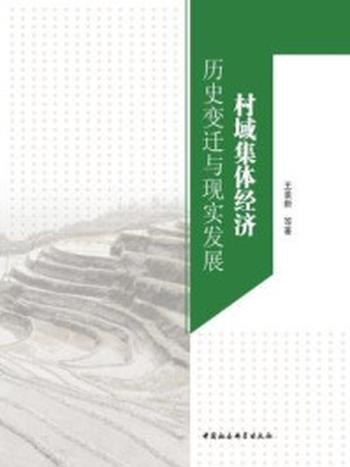 《村域集体经济：历史变迁与现实发展》-王景新 著