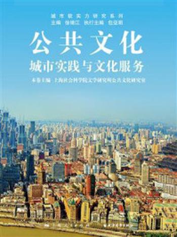 《公共文化：城市实践与文化服务》-徐锦江